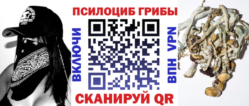 Псилоцибиновые грибы Psilocybe  где купить наркотик  блэк спрут как войти  Саров 