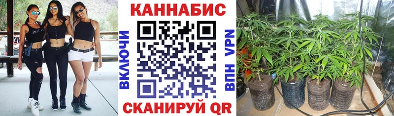 блэк спрут зеркало Саров Бошки Шишки Bruce Banner купить цена